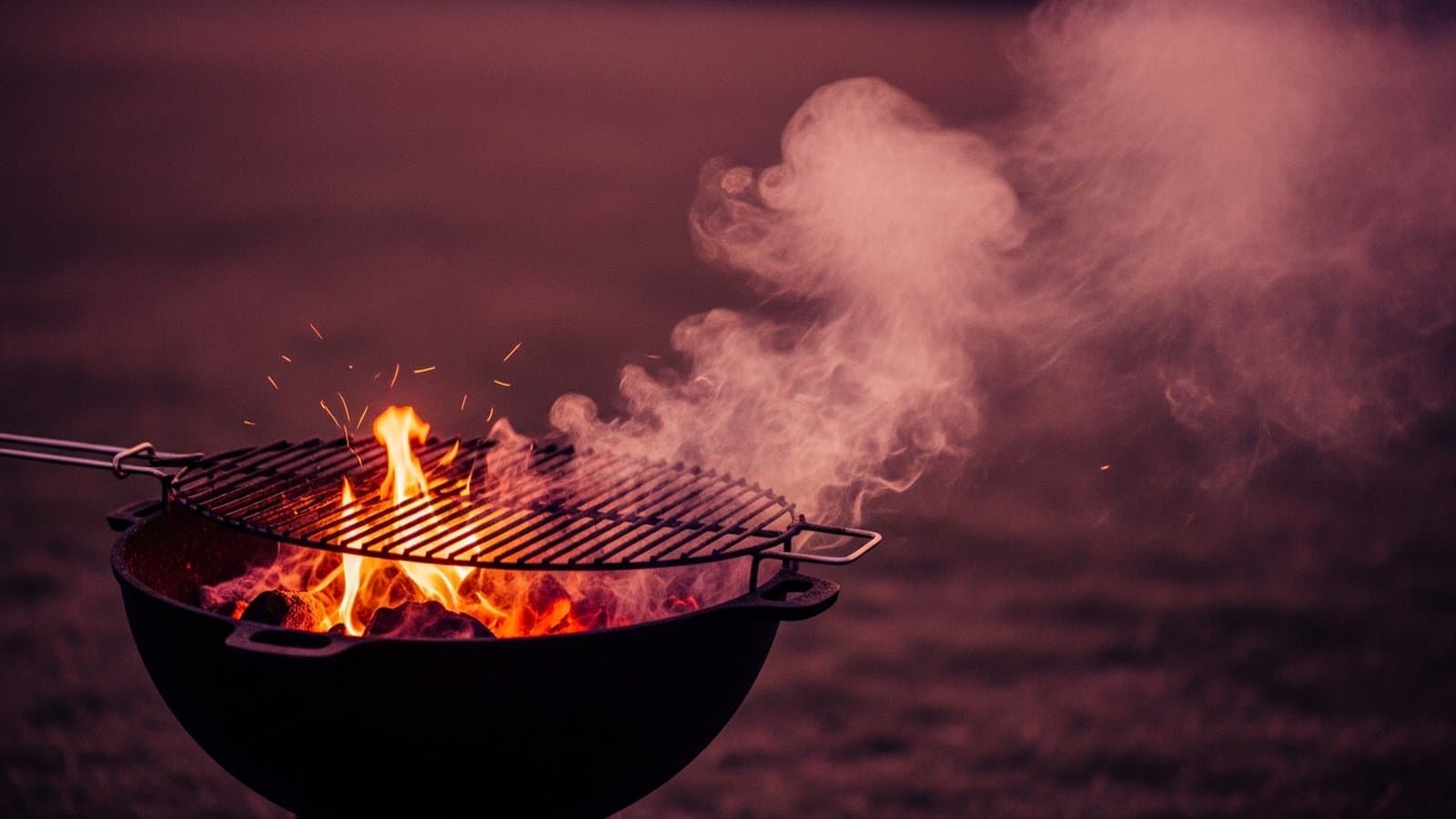 The Only Grilling Guide You'll Ever Need (From a Guy Who Burned a Lot of Chicken First)